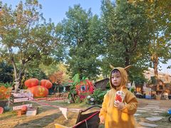 -HERRE·FARM 赫尔露营农场·团建聚会包场