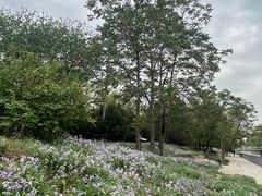 -元大都城垣遗址公园