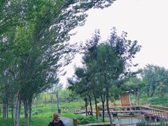-东郊湿地公园