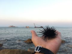 -龟龄岛