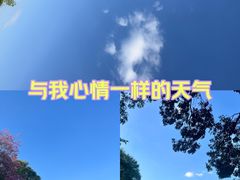 -东莞植物园