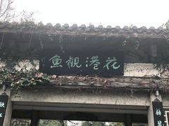 -西湖外事游船(花港观鱼码头)