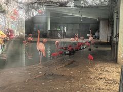 -石家庄市动物园