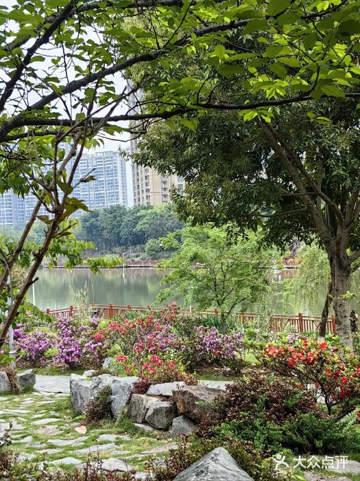 琴亭湖公园图片