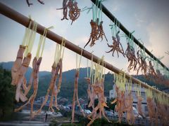 -溪口-滕头旅游景区