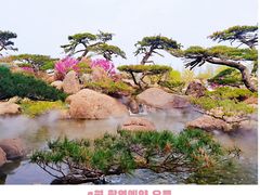 -罗红摄影艺术馆