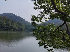 -白马涧龙池景区