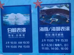 -秦皇岛乐岛海洋王国