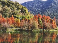 -贵阳市花溪国家城市湿地公园