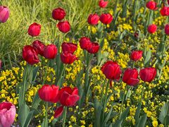 -豫园志愿服务青年中心