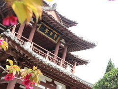-西安青龙寺遗址景区