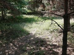 -长春公园(普阳街道)