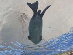 -长沙湘江欢乐雪域