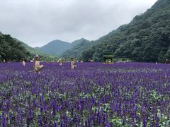 -广州市石门国家森林公园