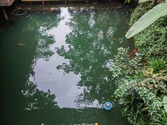 -海南槟榔谷黎苗文化旅游区