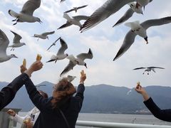 -滇池海埂公园