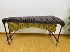 -音歆国艺馆·民乐培训(双榆树店)