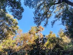 -梦姑塘文化公园