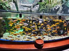 -太平洋海底世界