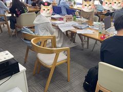 -新航道雅思托福·留学·考研培训(人民广场校区)