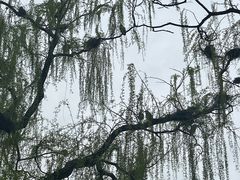 -北京动物园