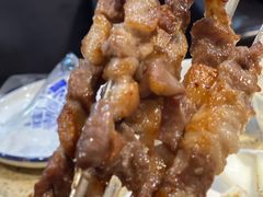 -红柳枝滩羊烧烤·银川非遗