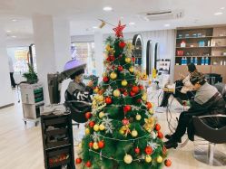 -新晨·SALON·形象造型