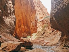 -天山神秘大峡谷