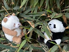 -栾川竹海野生动物园