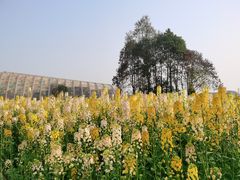 -中国天府农业博览园