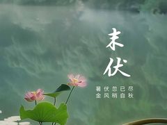 -映月湖中央公园