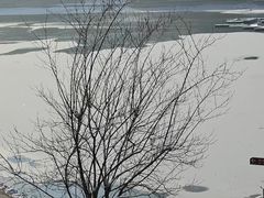 -秦岭终南山世界地质公园翠华山景区