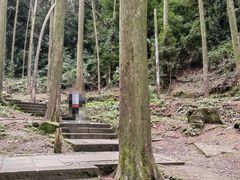 -凤栖山