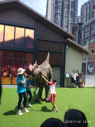 点击看大图 -恐龙探索乐园(磁器口店)