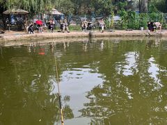 -酷鱼垂钓CLUB(朝阳区博大路店 )