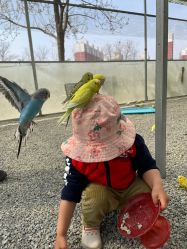 -萌宠亲子动物乐园(槐房万达店)