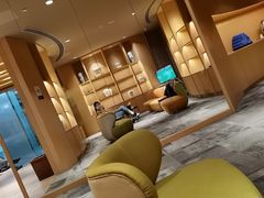 -苏州金鸡湖文博诺富特酒店
