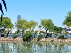 -无锡蠡湖国家湿地公园-蠡园