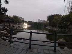 -莲湖公园