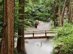 -东明山森林公园