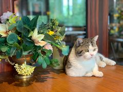 -IFIF 如果花園(宽厚里店)