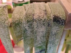 -小龙坎火锅(IFS HOT店)