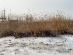-马家湾湿地公园
