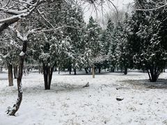 -绿堤公园