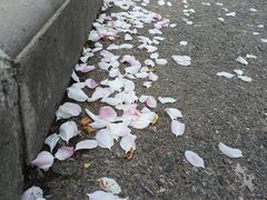 -颐和园西门停车场