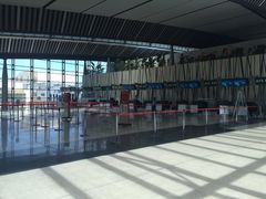 -西沃古尔·拉姆古兰爵士国际机场