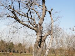 -广富林郊野公园