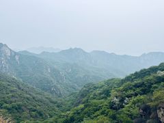 -大岭沟猕猴桃谷风景区