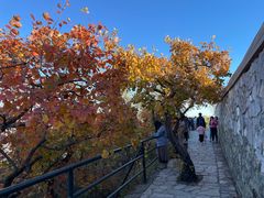 -香山公园