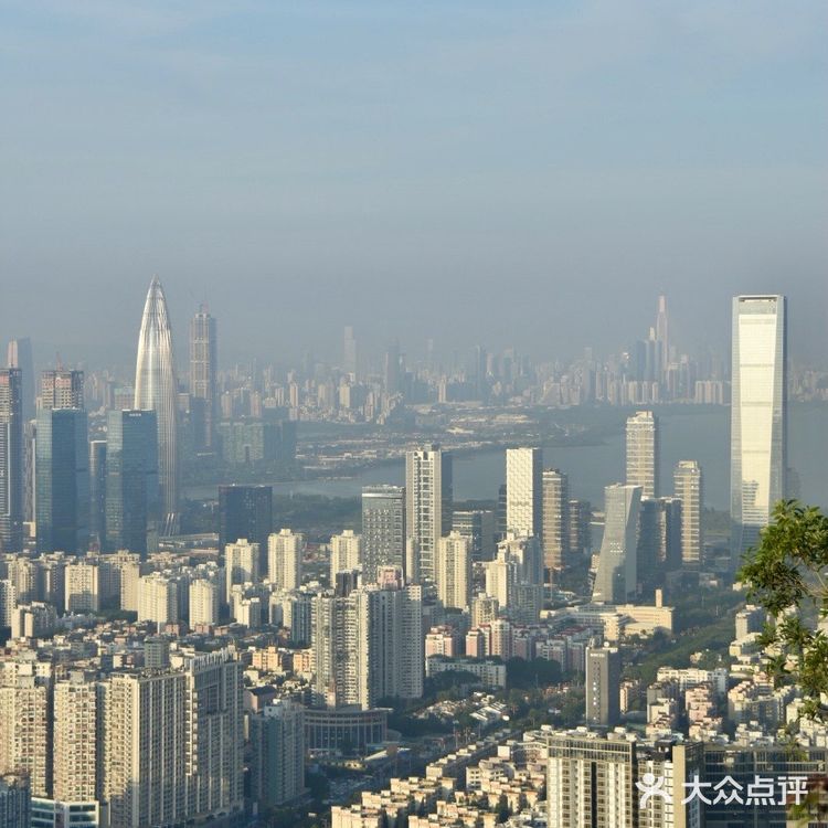 深圳南山公园登山攻略📒📒